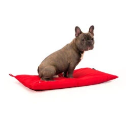 51 Degrees North Storm Bench Hundenkissen -Happy Hundchen Geschaft 51 degrees north storm bench hondenkussen 141755 0500 none