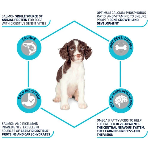 Affinity Advance Puppy Sensitive Lachs & Reis 4 Affinity Advance Puppy Sensitive Lachs & Reis – Bild 2