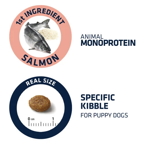 Affinity Advance Puppy Sensitive Lachs & Reis 5 Affinity Advance Puppy Sensitive Lachs & Reis – Bild 3