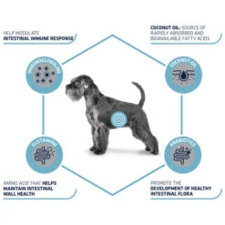 Affinity Advance Veterinary Diets Gastroenteric Hund -Happy Hundchen Geschaft affinity advance veterinary diets gastroenteric hond 177655 0500 none