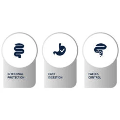 Affinity Advance Veterinary Diets Gastroenteric Hund -Happy Hundchen Geschaft affinity advance veterinary diets gastroenteric hond 177658 0500 none