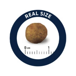 Affinity Advance Veterinary Diets Gastroenteric Hund -Happy Hundchen Geschaft affinity advance veterinary diets gastroenteric hond 177679 0500 none