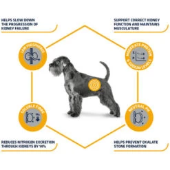Affinity Advance Veterinary Diets Renal Hund 14 Affinity Advance Veterinary Diets Renal Hund -Happy Hundchen Geschaft affinity advance veterinary diets renal hond 177343 0500 none