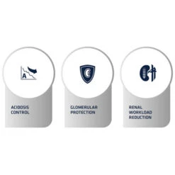 Affinity Advance Veterinary Diets Renal Hund 15 Affinity Advance Veterinary Diets Renal Hund -Happy Hundchen Geschaft affinity advance veterinary diets renal hond 177346 0500 none