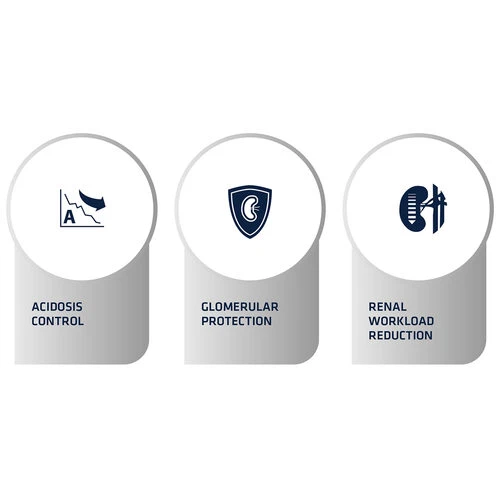 Affinity Advance Veterinary Diets Renal Hund 6 Affinity Advance Veterinary Diets Renal Hund – Bild 4