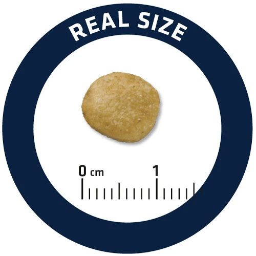 Affinity Advance Veterinary Diets Renal Hund 7 Affinity Advance Veterinary Diets Renal Hund – Bild 5