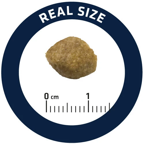 Affinity Advance Veterinary Diets Urinary Hund 8 Affinity Advance Veterinary Diets Urinary Hund – Bild 6