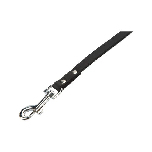 Beeztees Enjoy Hundeleine 7 Beeztees Enjoy Hundeleine – Bild 5