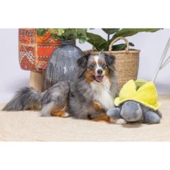 Beeztees Hide And Seek Schildo 8 Beeztees Hide And Seek Schildo -Happy Hundchen Geschaft beeztees hide and seek schildo 221787 0500 none