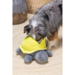 Beeztees Hide And Seek Schildo 9 Beeztees Hide And Seek Schildo -Happy Hundchen Geschaft beeztees hide and seek schildo 221788 0500 none