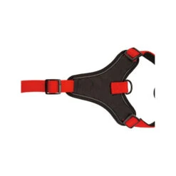 Beeztees Parinca Premium Y-Geschirr -Happy Hundchen Geschaft beeztees parinca premium y tuig 199589 0500 none