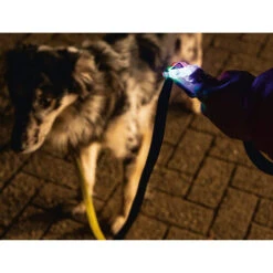 Beeztees Safety Gear Parinca Premium Hundeleine -Happy Hundchen Geschaft beeztees safety gear parinca premium hondenriem 215036 0500 none