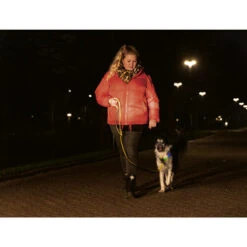 Beeztees Safety Gear Parinca Premium Hundeleine -Happy Hundchen Geschaft beeztees safety gear parinca premium hondenriem 215042 0500 none