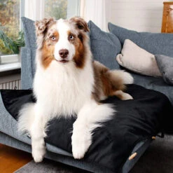 Bia Travel Outdoor Matratze 6 Bia Travel Outdoor Matratze -Happy Hundchen Geschaft bia travel outdoor matras 191348 0500 none