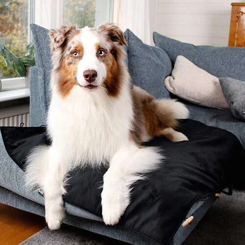 Bia Travel Outdoor Matratze 4 Bia Travel Outdoor Matratze – Bild 2