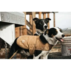 Carhartt Dog Chore Coat -Happy Hundchen Geschaft carhartt dog chore coat 186748 0500 none