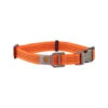 Carhartt Tradesman Hundehalsband 1 Carhartt Tradesman Hundehalsband -Happy Hundchen Geschaft carhartt tradesman dog collar 186577 0500 none