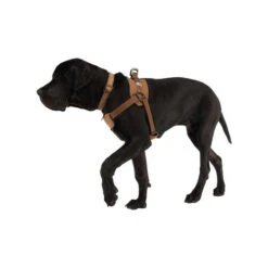 Carhartt Work Dog Harness -Happy Hundchen Geschaft carhartt work dog harness 186805 0500 none