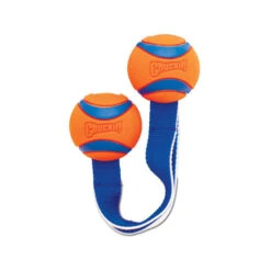 Chuckit! Ultra Duo Tug -Happy Hundchen Geschaft chuckit ultra duo tug 122951 0500 none