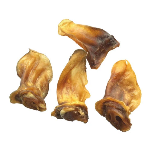 Competition Lammohren 3 Competition Lammohren