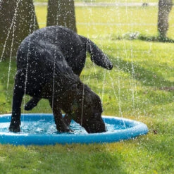 CoolPets Splash Pool Water Sprinkler -Happy Hundchen Geschaft coolpets splash pool sproeier 174286 0500 none