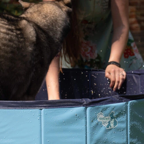 CoolPets Hundepool 6 CoolPets Hundepool – Bild 4