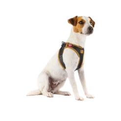 Curli Vegan Apple Leather Geschirr 9 Curli Vegan Apple Leather Geschirr -Happy Hundchen Geschaft curli harnas vegan appelleer 216631 0500 none