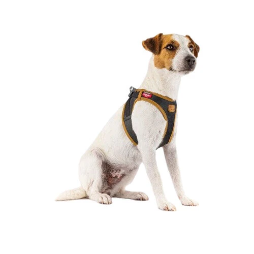 Curli Vegan Apple Leather Geschirr 5 Curli Vegan Apple Leather Geschirr – Bild 3