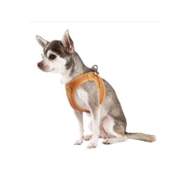 Curli Vegan Apple Leather Geschirr 8 Curli Vegan Apple Leather Geschirr -Happy Hundchen Geschaft curli harnas vegan appelleer 216633 0500 none