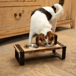 Designed By Lotte Holz-Dinerset Karinto -Happy Hundchen Geschaft designed by lotte houten dinerset karinto 164314 0500 none