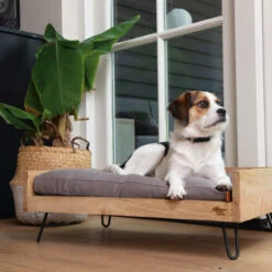 Designed By Lotte Hundebett Turana 7 Designed By Lotte Hundebett Turana -Happy Hundchen Geschaft designed by lotte ligmand turana 170032 0500 none