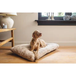 Designed By Lotte Xanti Hundekissen -Happy Hundchen Geschaft designed by lotte xanti hondenkussen 188124 0500 none