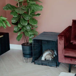 District 70 Crate Cover 16 District 70 Crate Cover -Happy Hundchen Geschaft district 70 crate cover 191152 0500 none