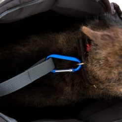 Doctor Bark Hundetragetasche 12 Doctor Bark Hundetragetasche -Happy Hundchen Geschaft doctor bark honden draagtas 202157 0500 none