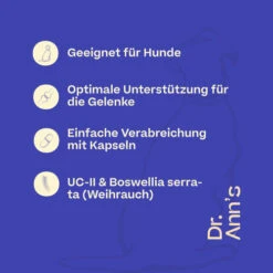 Dr. Ann's Mobility Support Advanced 11 Dr. Ann's Mobility Support Advanced -Happy Hundchen Geschaft dr anns mobility support advanced 213137 0500 none