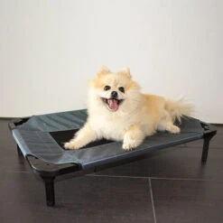 Duvo+ Hundeliege Relax -Happy Hundchen Geschaft duvo hondenstretcher relax 199796 0500 none