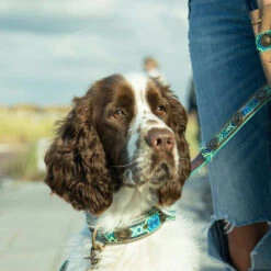 DWAM Halsband Boho Juan 9 DWAM Halsband Boho Juan -Happy Hundchen Geschaft dwam halsband boho juan 133658 0500 none