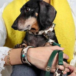 DWAM Halsband Ivy -Happy Hundchen Geschaft dwam halsband ivy 180688 0500 none