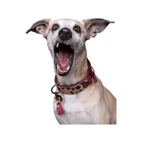 DWAM Halsband Lou Lou 5 DWAM Halsband Lou Lou – Bild 3