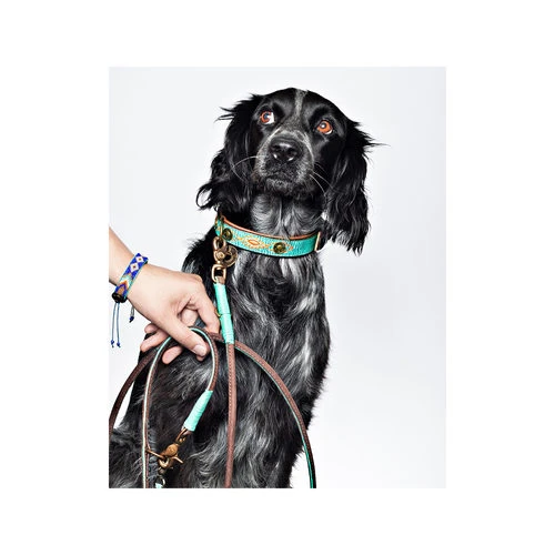 DWAM Hundeleine Johnny Cash 4 DWAM Hundeleine Johnny Cash – Bild 2