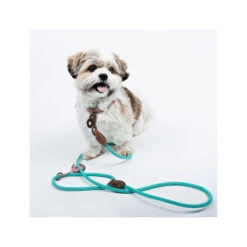 DWAM Hundeleine Türkis -Happy Hundchen Geschaft dwam hondenriem turquoise 162820 0500 none