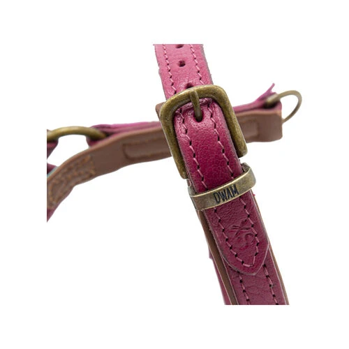 DWAM Hundegeschirr Lou Lou 5 DWAM Hundegeschirr Lou Lou – Bild 3