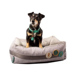 DWAM Jungle Love Korb 9 DWAM Jungle Love Korb -Happy Hundchen Geschaft dwam jungle love mand 186595 0500 none