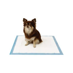 Easypets Trainingpads -Happy Hundchen Geschaft easypets trainingspads 184186 0500 none
