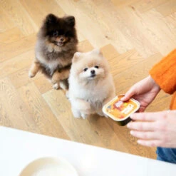 Edgard & Cooper Adult - Huhn & Truthahn - Im Schälchen 7 Edgard & Cooper Adult - Huhn & Truthahn - Im Schälchen -Happy Hundchen Geschaft edgard cooper adult kip kalkoen kuipje 168597 0500 none