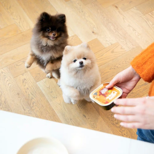 Edgard & Cooper Adult - Huhn & Truthahn - Im Schälchen 5 Edgard & Cooper Adult - Huhn & Truthahn - Im Schälchen – Bild 3