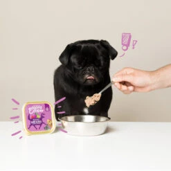 Edgard & Cooper Adult - Wild & Ente - Schälchen -Happy Hundchen Geschaft edgard cooper adult wild eend kuipje 168648 0500 none