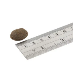 Fish4Dogs Finest Adult Complete - Lachs Große Brocken 6 Fish4Dogs Finest Adult Complete - Lachs Große Brocken -Happy Hundchen Geschaft fish4dogs finest adult complete zalm grote brok 160940 0500 none