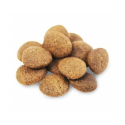 Fish4Dogs Finest Adult Complete - Lachs Große Brocken 7 Fish4Dogs Finest Adult Complete - Lachs Große Brocken -Happy Hundchen Geschaft fish4dogs finest adult complete zalm grote brok 160943 0500 none