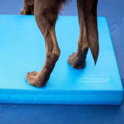 FitPAWS Balance Pad 9 FitPAWS Balance Pad -Happy Hundchen Geschaft fitpaws balance pad 176131 0500 none